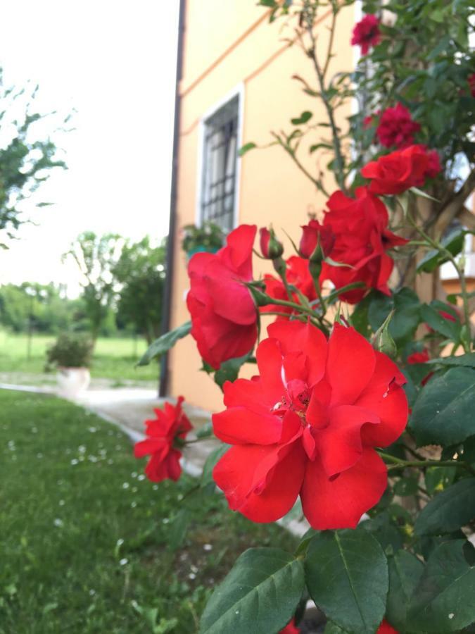 Il "Green " In Giardino Ferrara Zewnętrze zdjęcie