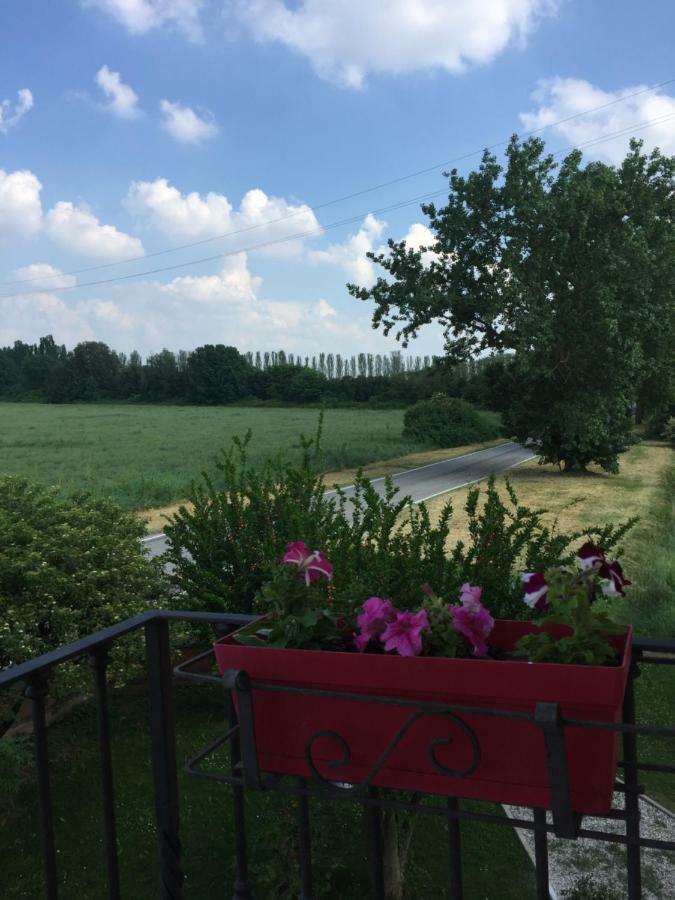 Il "Green " In Giardino Ferrara Zewnętrze zdjęcie