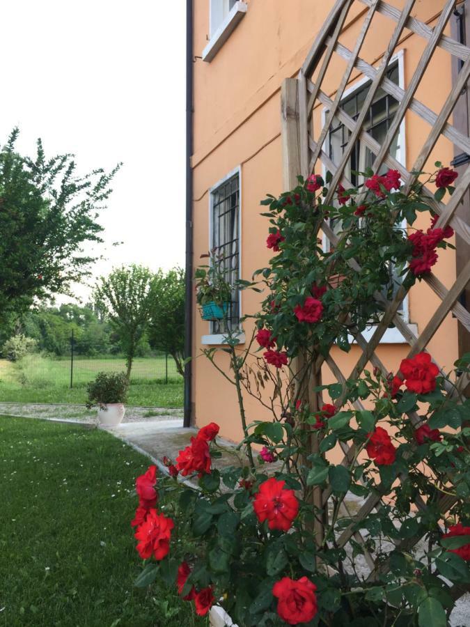 Il "Green " In Giardino Ferrara Zewnętrze zdjęcie